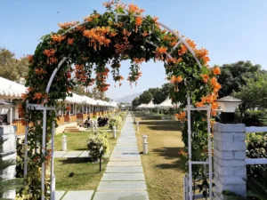 Wedding Venues in Pushkar Under ₹15 Lakhs
