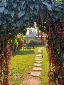 Wedding venues in Bangalore under ₹20 lakhs