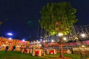 Wedding venues in Chattarpur under ₹20 lakhs